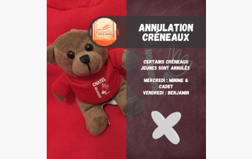 Annulation Créneaux BENJAMINS
